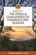 image for 22. The Perks & Challenges of…