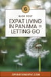 image for 6. Expat Living in Panama =…