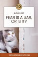 image for 10. Fear is a Liar. Or is it?