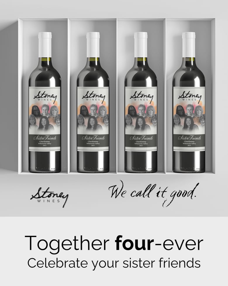 image for Sister Friends and Positive Vibes: The…