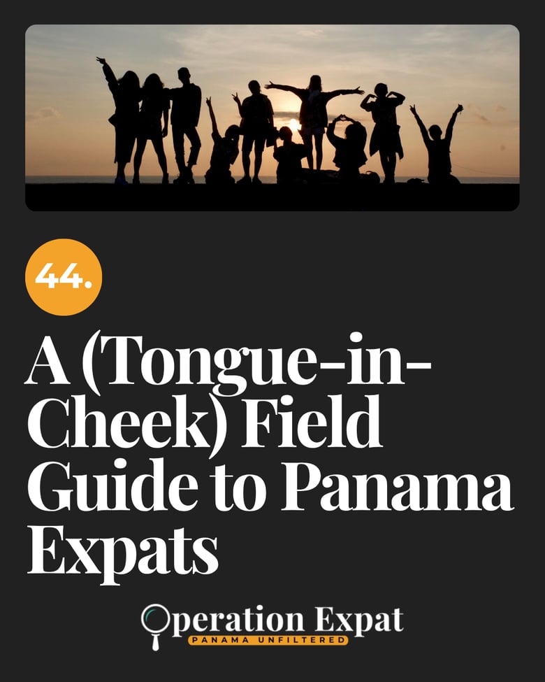 image for 44. A (Tongue-in-Cheek) Field…
