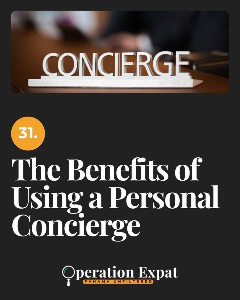 image for 31. The Benefits of Using a…