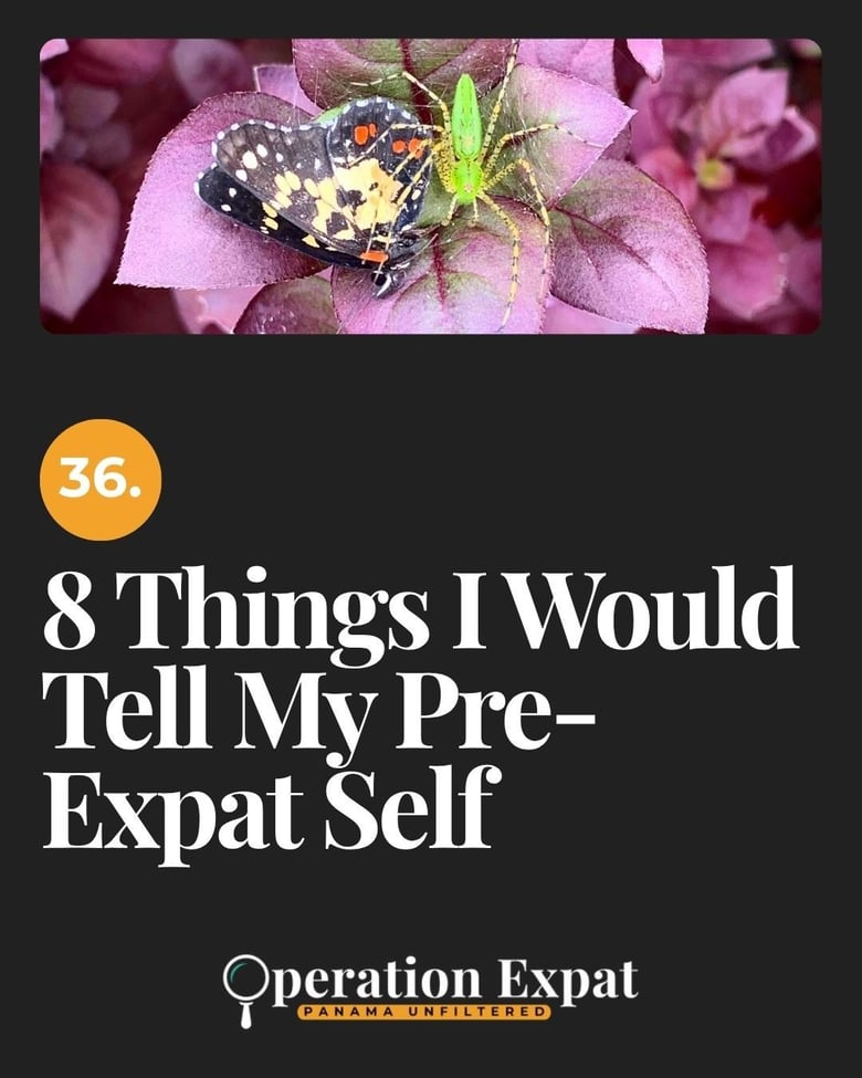 image for 36. 8 Things I Would Tell My…