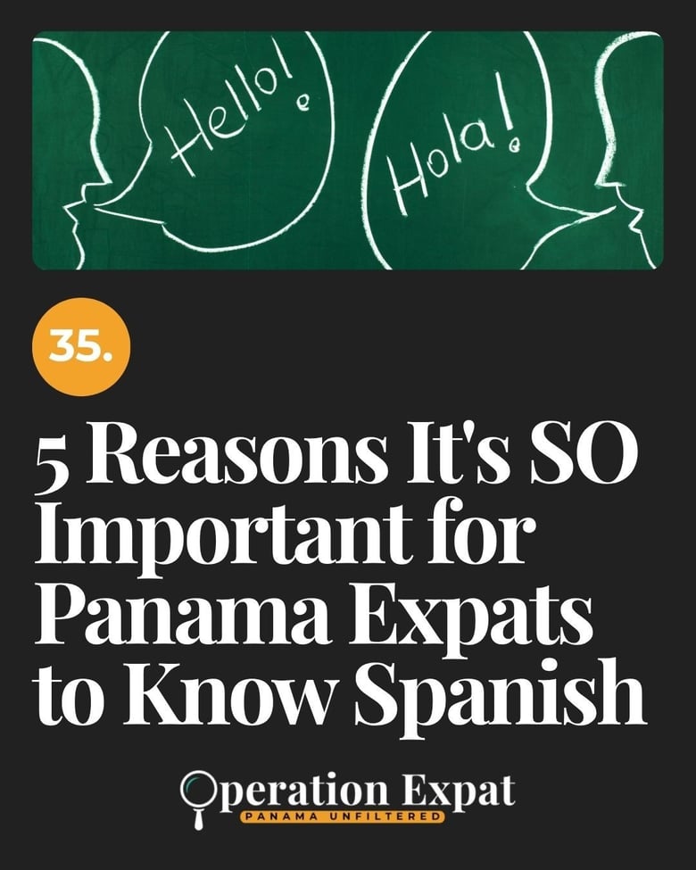 image for 35. 5 Reasons It's SO…
