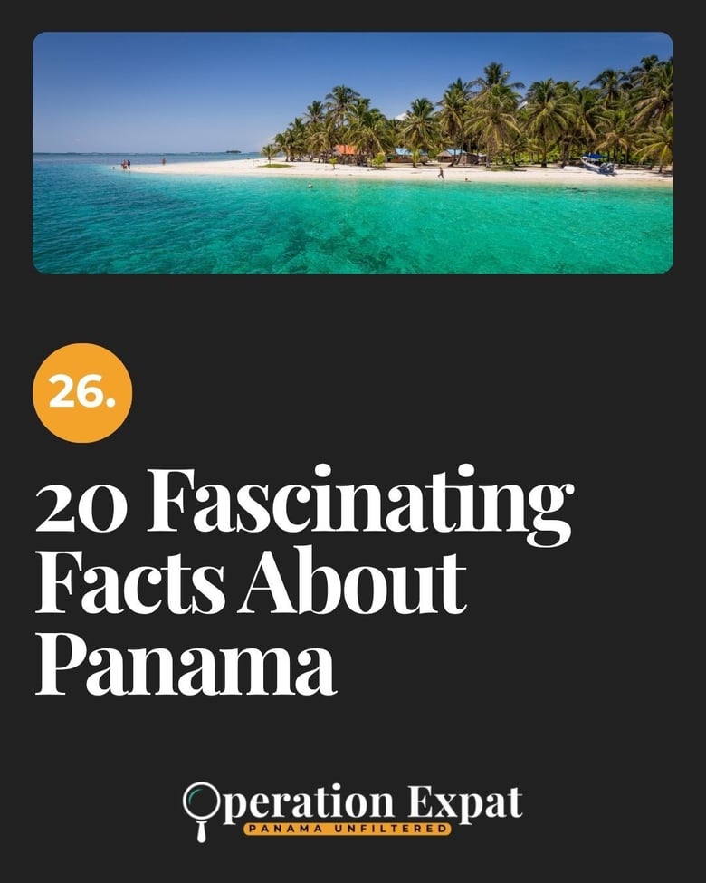 image for 26. 20 Fascinating Facts…