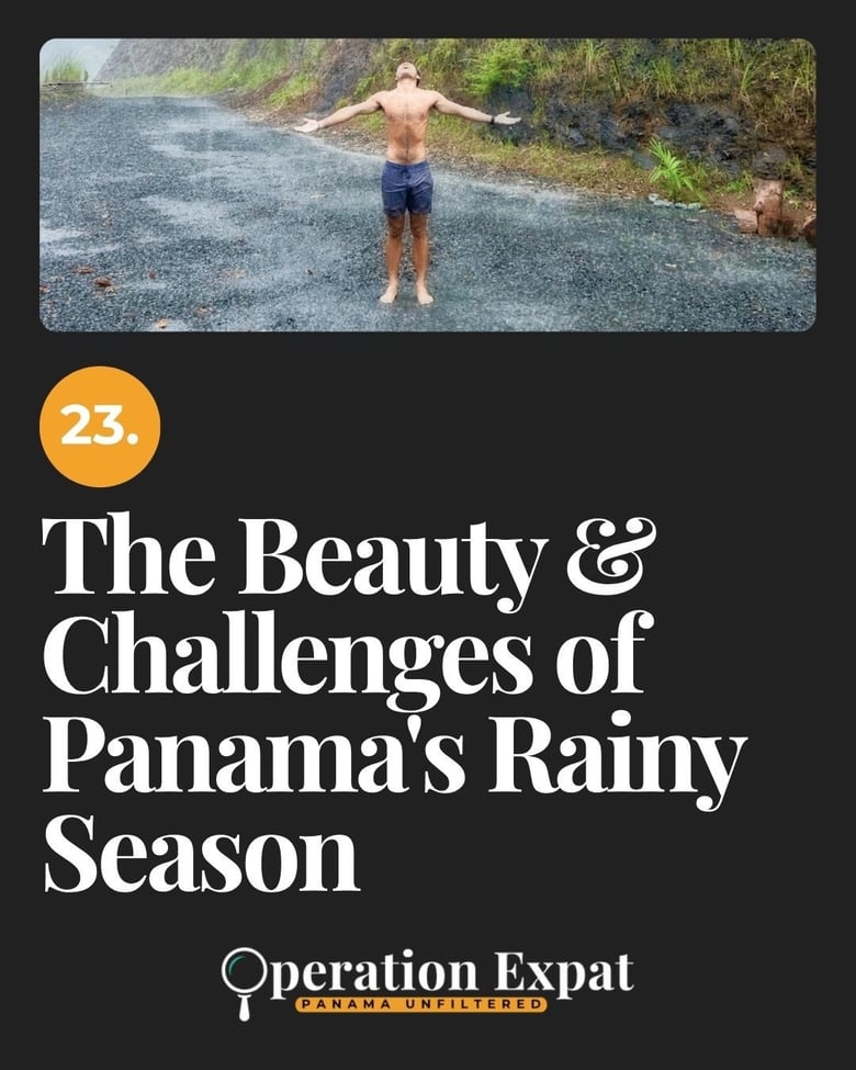 image for 23. The Beauty & Challenges…