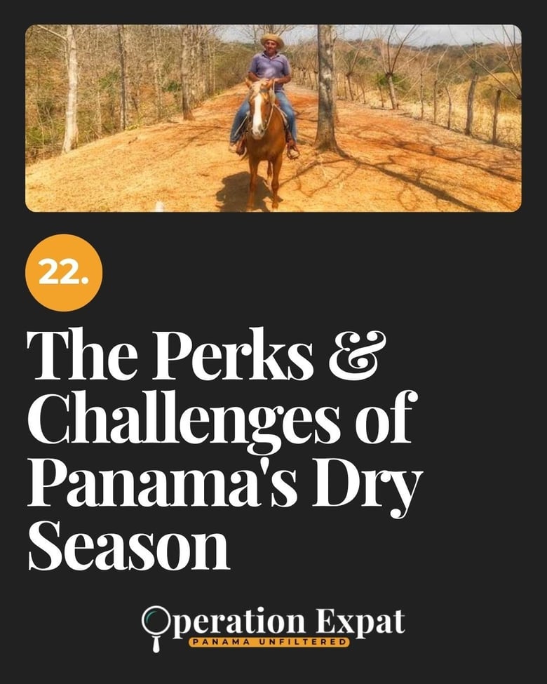 image for 22. The Perks & Challenges of…