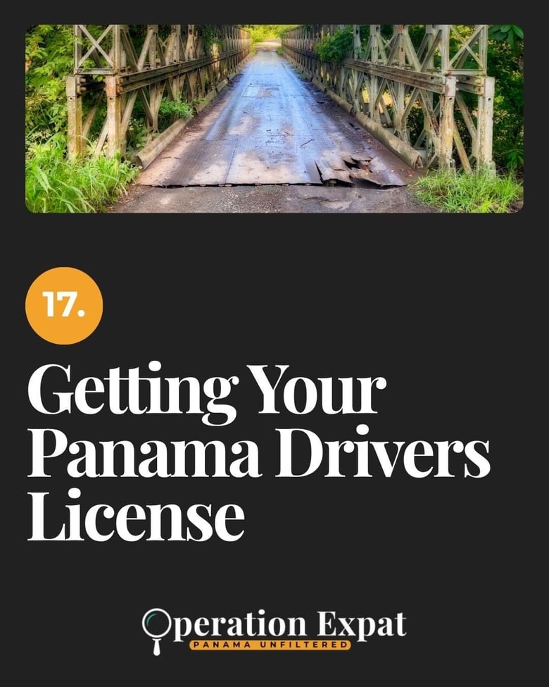 image for 17. Getting Your Panama…