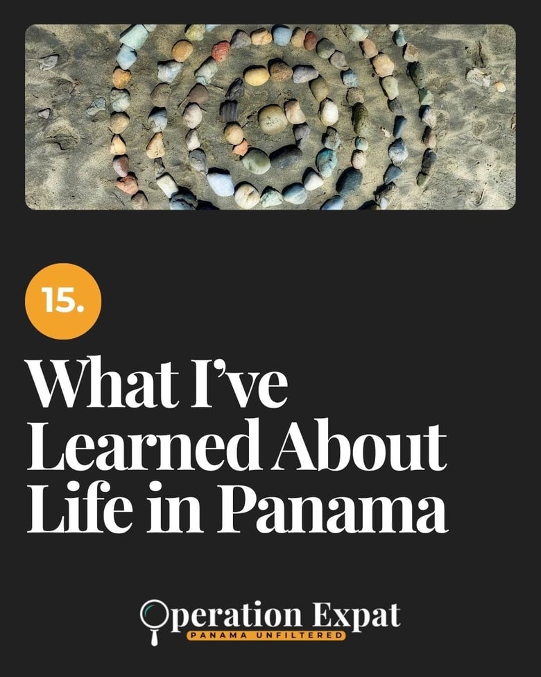 image for 15. What I’ve Learned About…