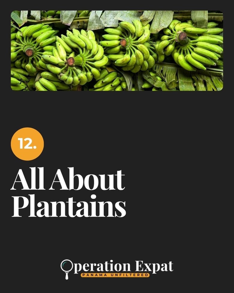 image for 12. All About Plantains