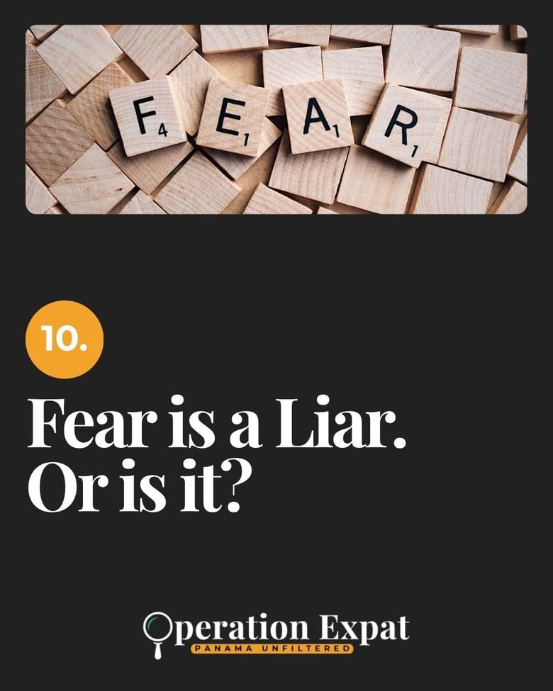 image for 10. Fear is a Liar. Or is it?