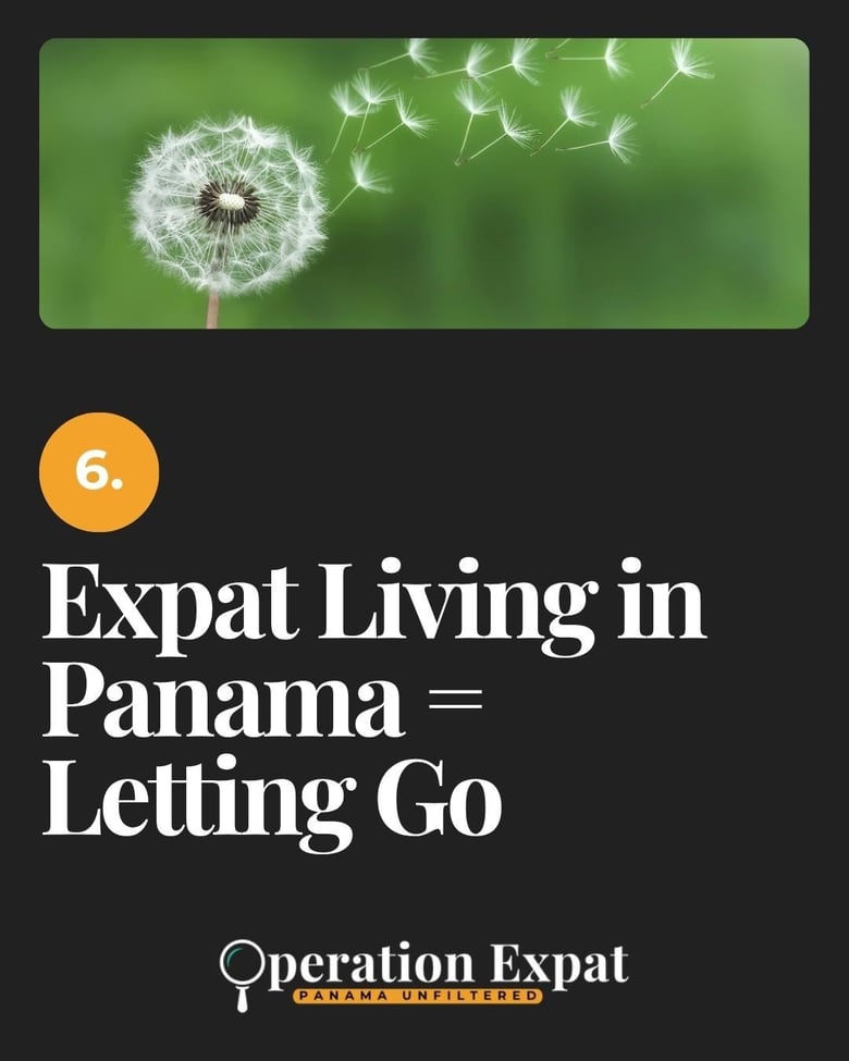 image for 6. Expat Living in Panama =…