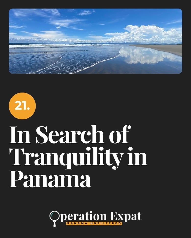 image for 21. In Search of Tranquility…