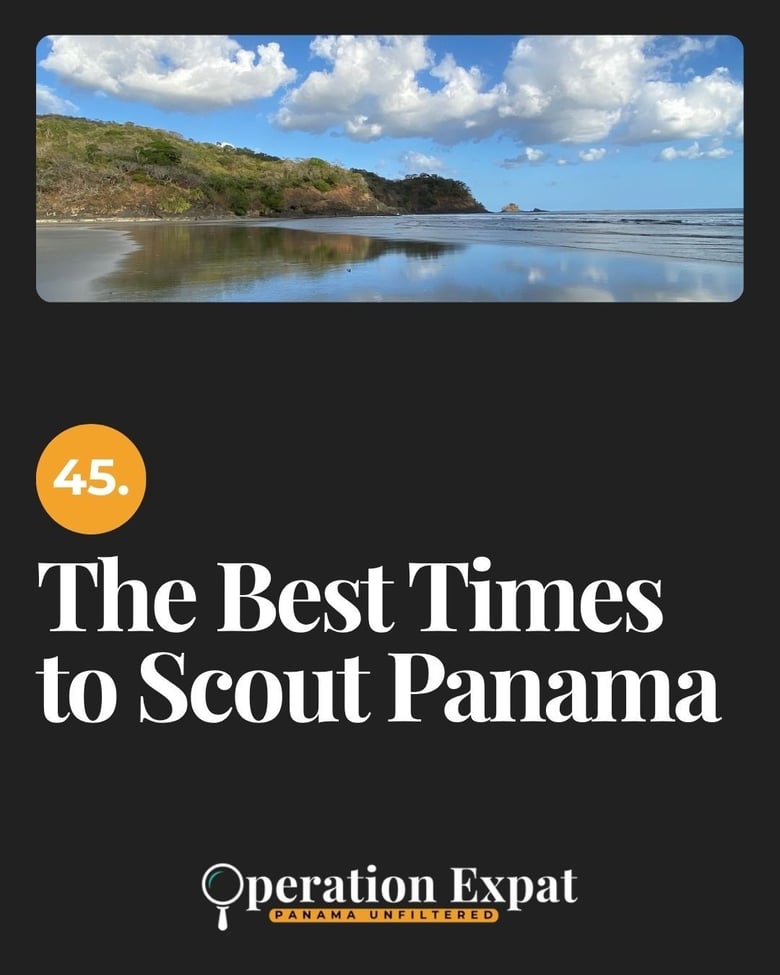 image for 45. The Best Times to Scout…
