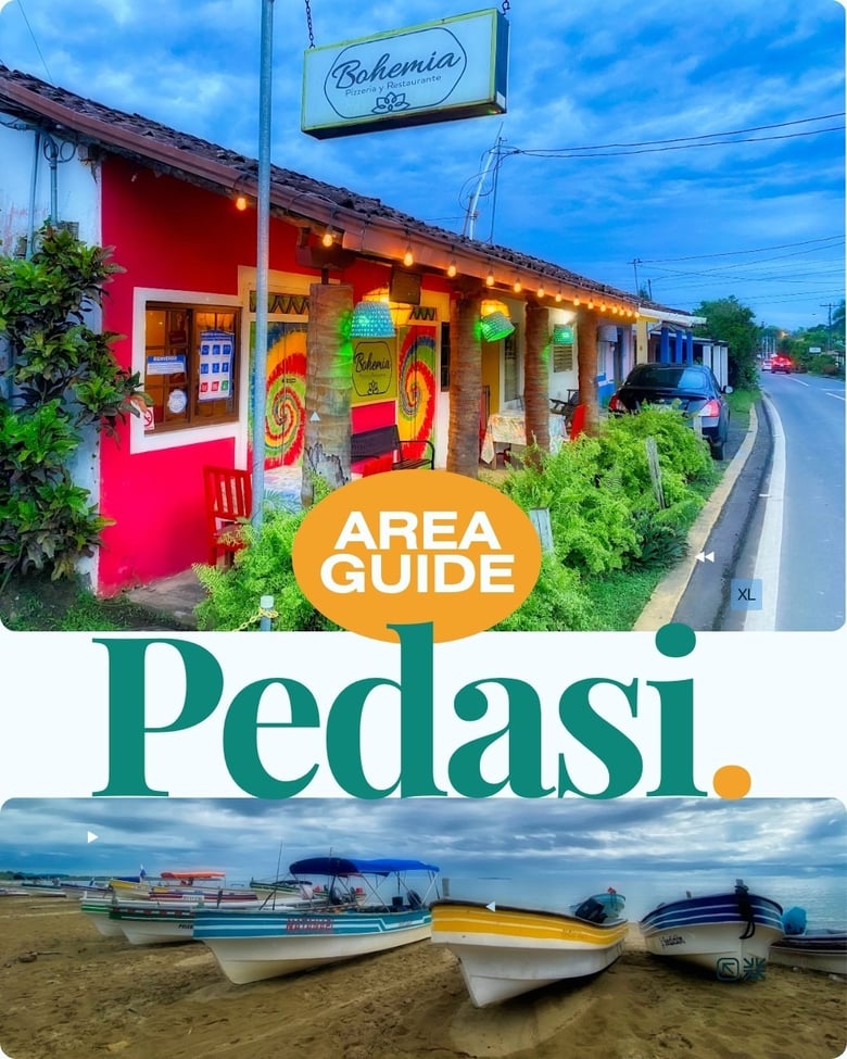 image for AREA GUIDE: Pedasi
