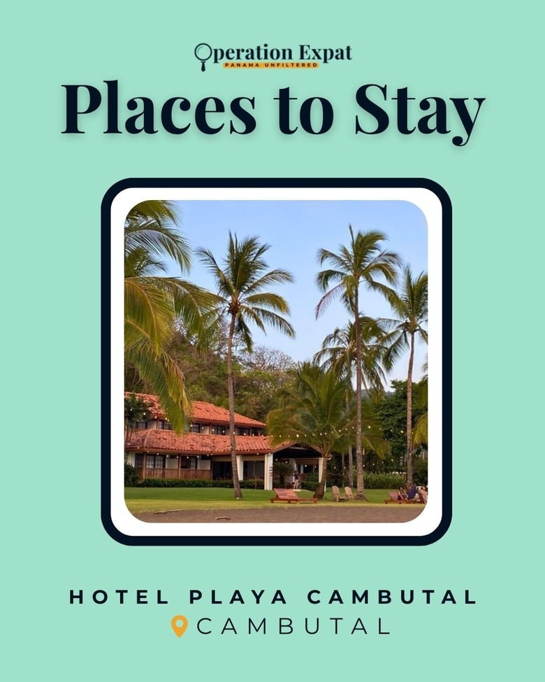 image for PLACES TO STAY: Hotel Playa…