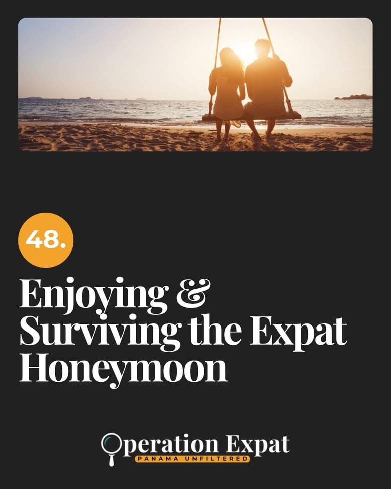 image for 48. Enjoying & Surviving the…