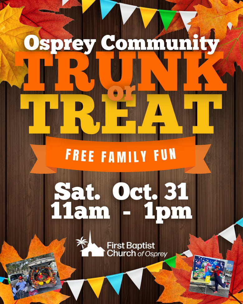 image for Osprey Community Trunk or…