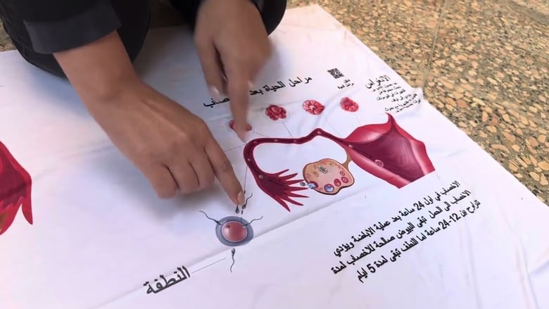 image for الجزء 7 من 12: التبويض والتخصيب
