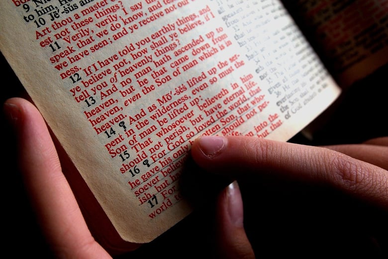 image for Bible Study Groups | Sunday…