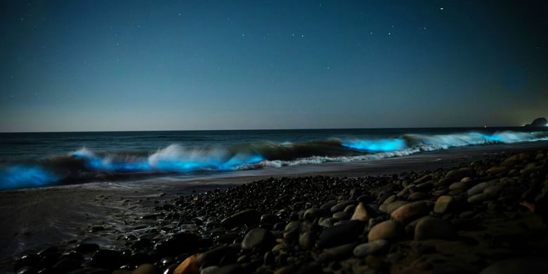 image for Night Swimming in…