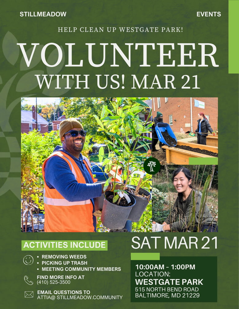 image for Volunteer with Stillmeadow -…