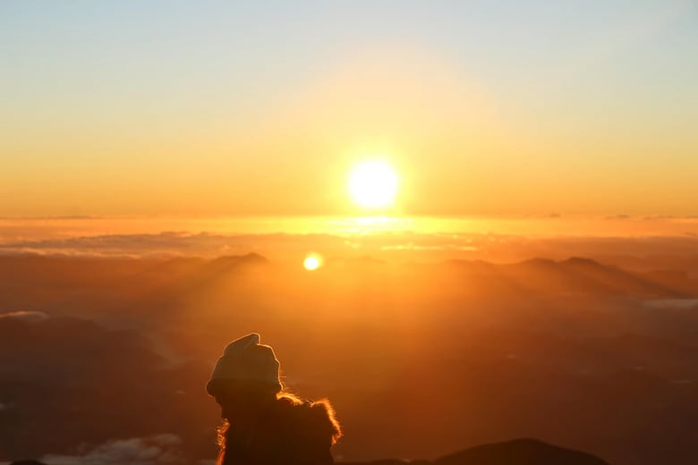 image for Cultivating Gratitude