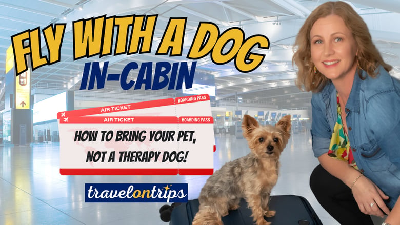 image for Fly with a Dog - How to Bring Your Pet,…