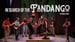 image for IN SEARCH OF THE FANDANGO by…