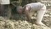 image for Floods and Mud Do not Dampen…