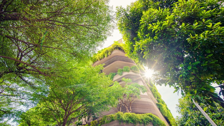 image for Sustainable Practices in Property…