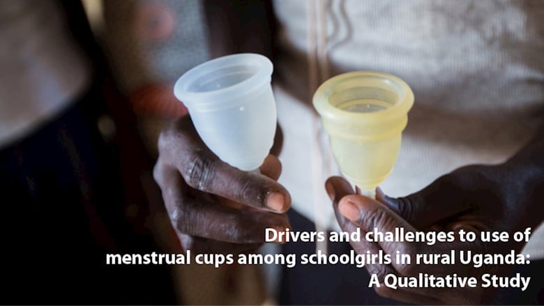 image for Drivers and Challenges: A quantitative…