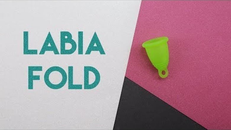 image for Labia Fold