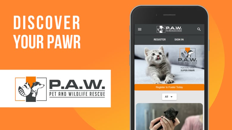 image for PAWR - Pet and Wildlife Rescue