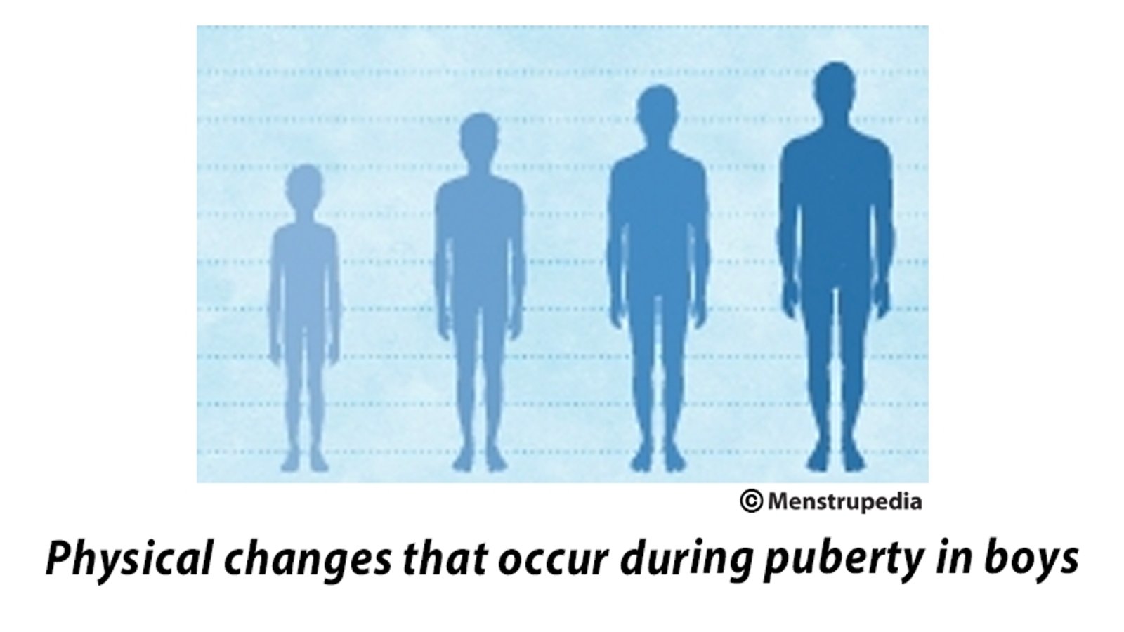 Physical changes that occur during puberty in girls
