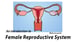 image for