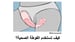 image for 