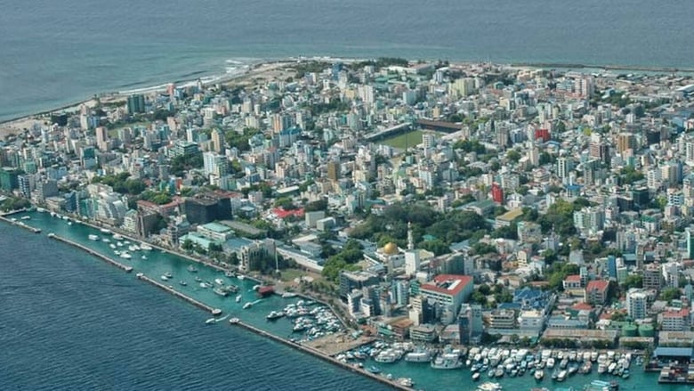 image for Growth opp for Caribbean and Pacific…