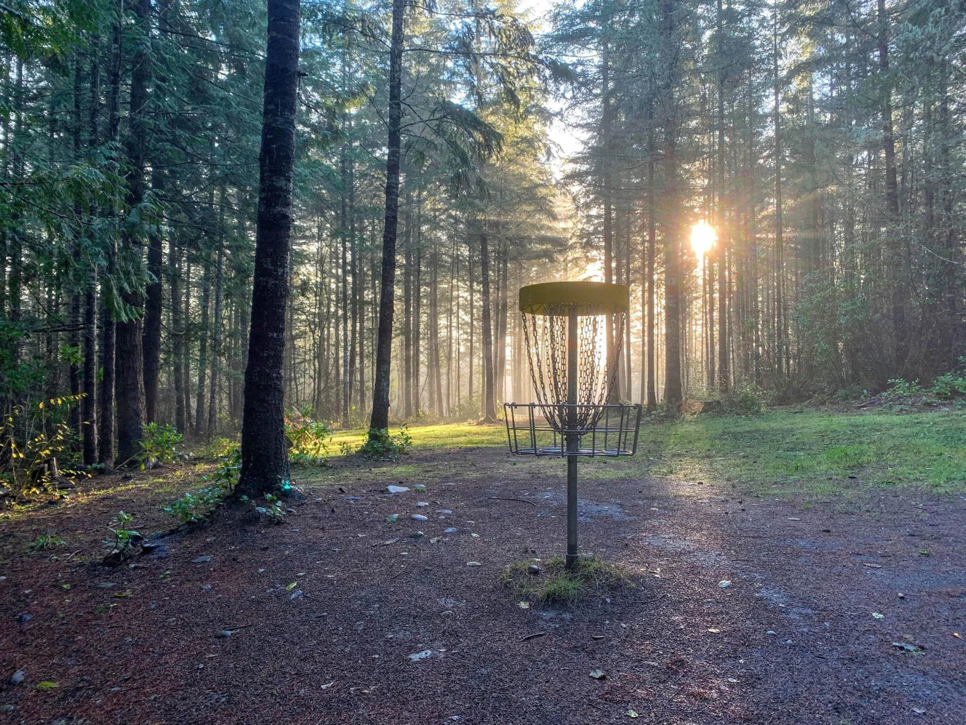 Disc Golf Gear