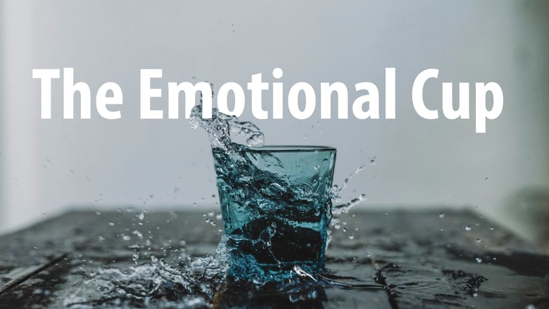 image for Emotional Resilience -…