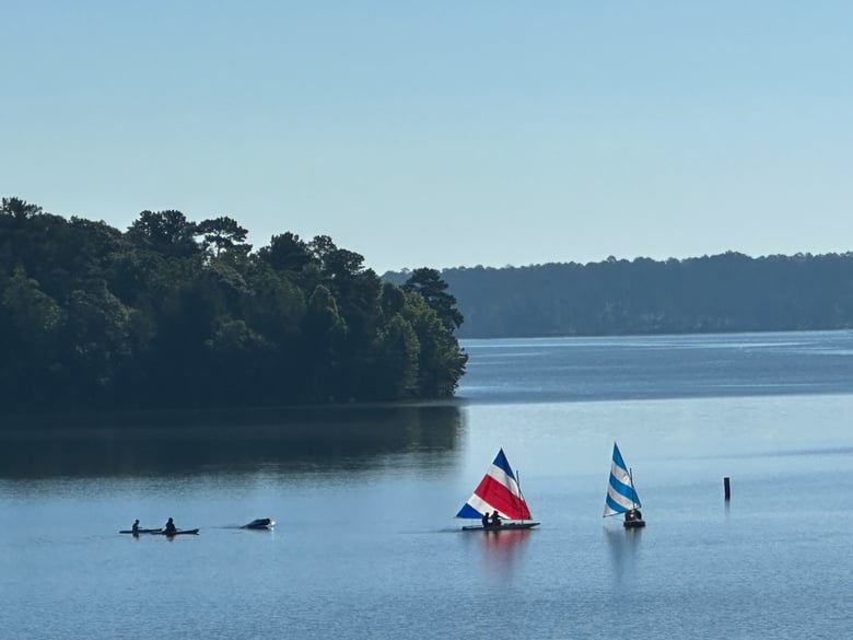 image for KSR Aquatics Programs