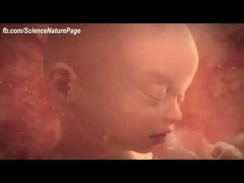 image for Stages of Human Development - Welcome…