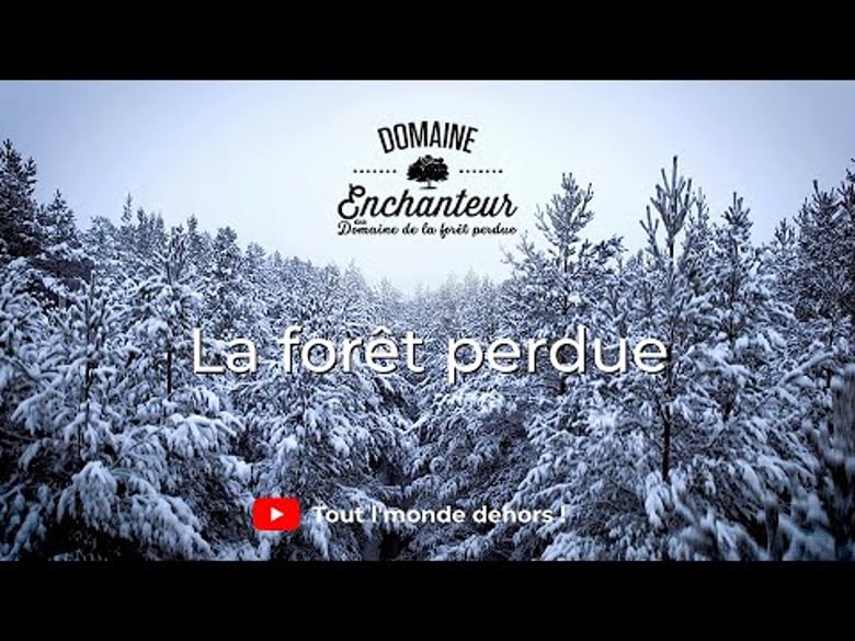 image for A Frozen-Inspired Winter Adventure
