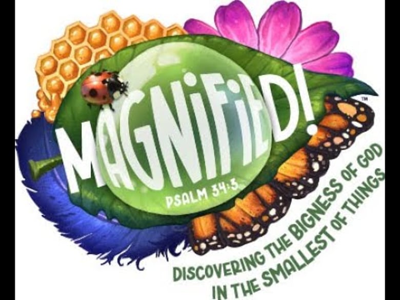 image for What is VBS? 
