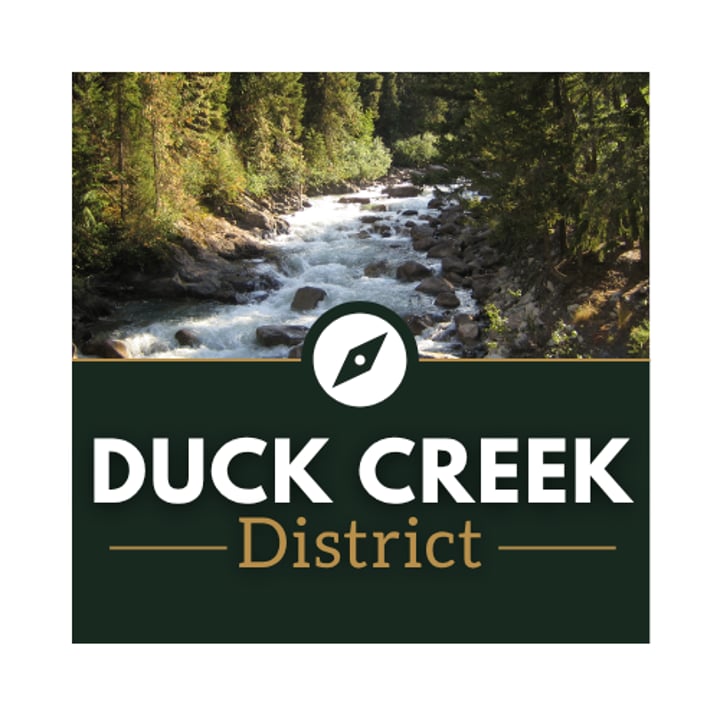 Duck Creek District