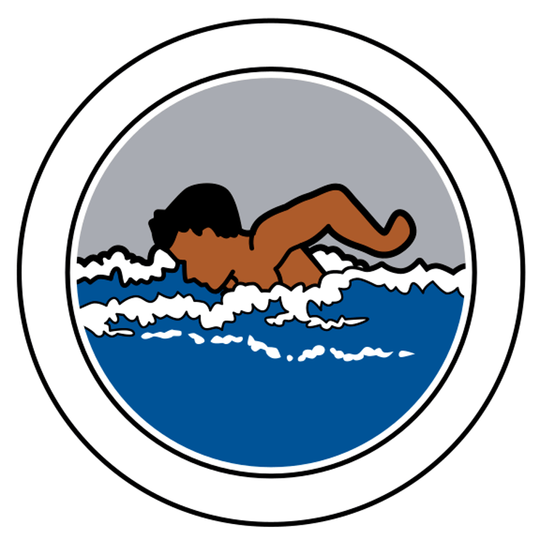 image for Lifesaving Merit Badge