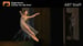 image for ABT Staff