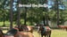 image for Horse Programs - Beyond the…