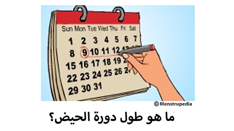 image for MPQ Arabic