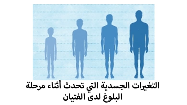 image for MPQ Arabic